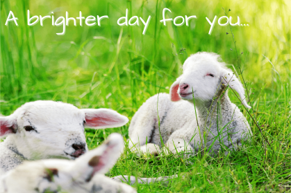 Calendar Banner