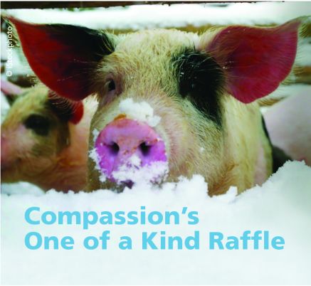 Compassion in World Farming