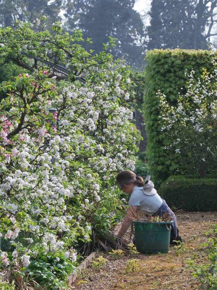 Women's Farm & Garden Association