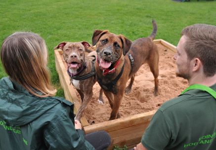 Edinburgh Dog and Cat Home