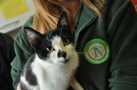 Edinburgh Dog and Cat Home