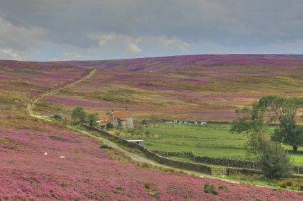 Countryside Alliance