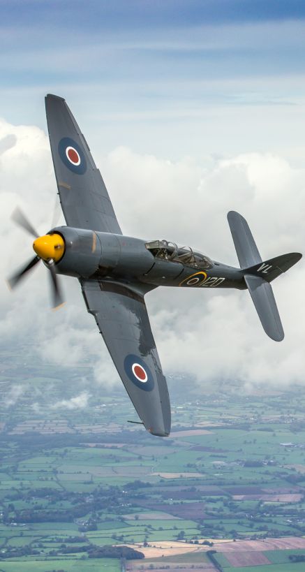 Navy Wings