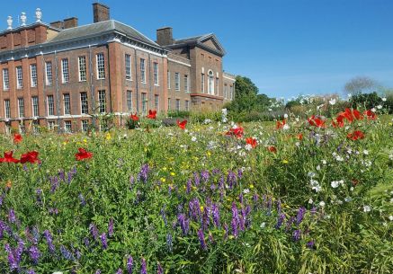 London Gardens Trust
