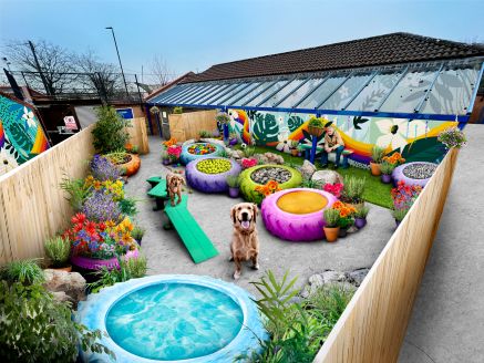 Bristol Animal Rescue Centre