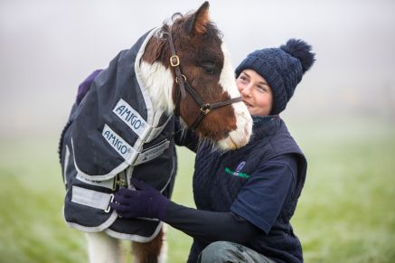 World Horse Welfare