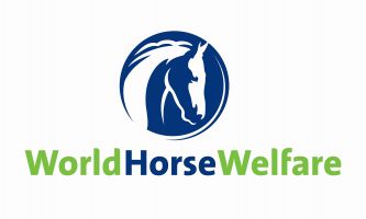 World Horse Welfare