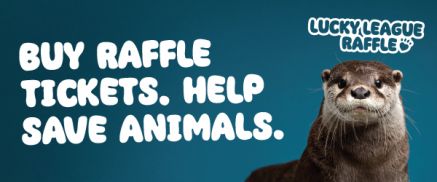 League Against Cruel Sports