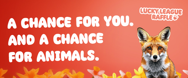  League Against Cruel Sports 