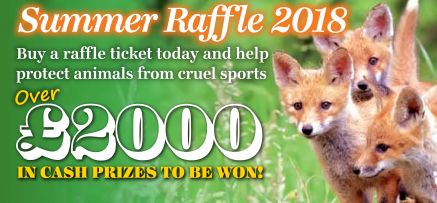 League Against Cruel Sports