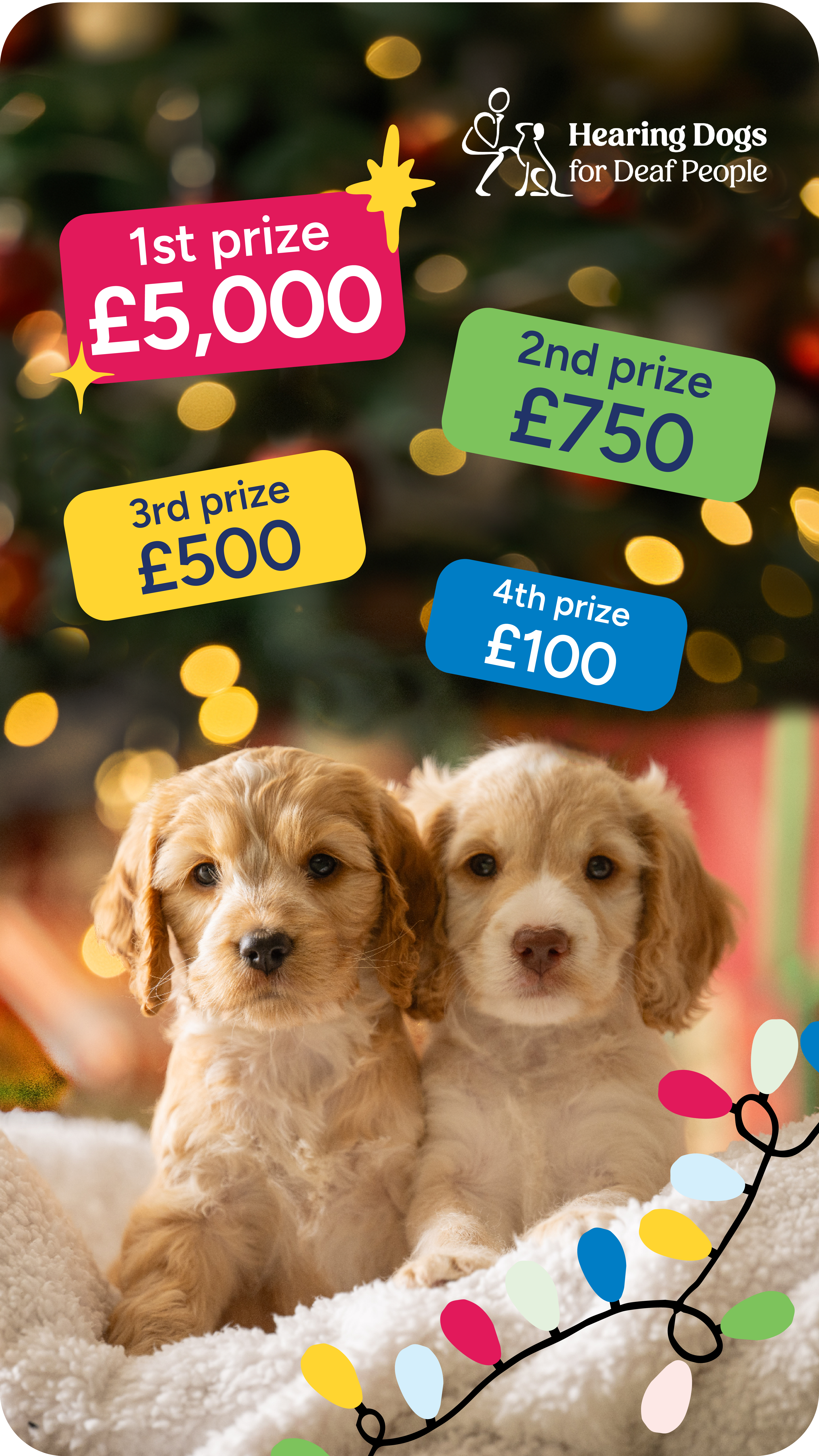  Hearing Dogs for Deaf People 