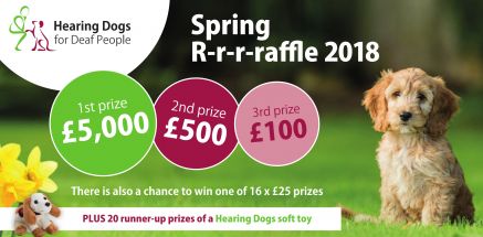 Hearing Dogs for Deaf People