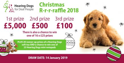 Hearing Dogs for Deaf People