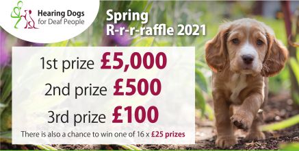 Hearing Dogs for Deaf People