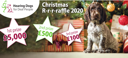 Hearing Dogs for Deaf People