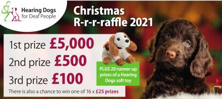 Hearing Dogs for Deaf People
