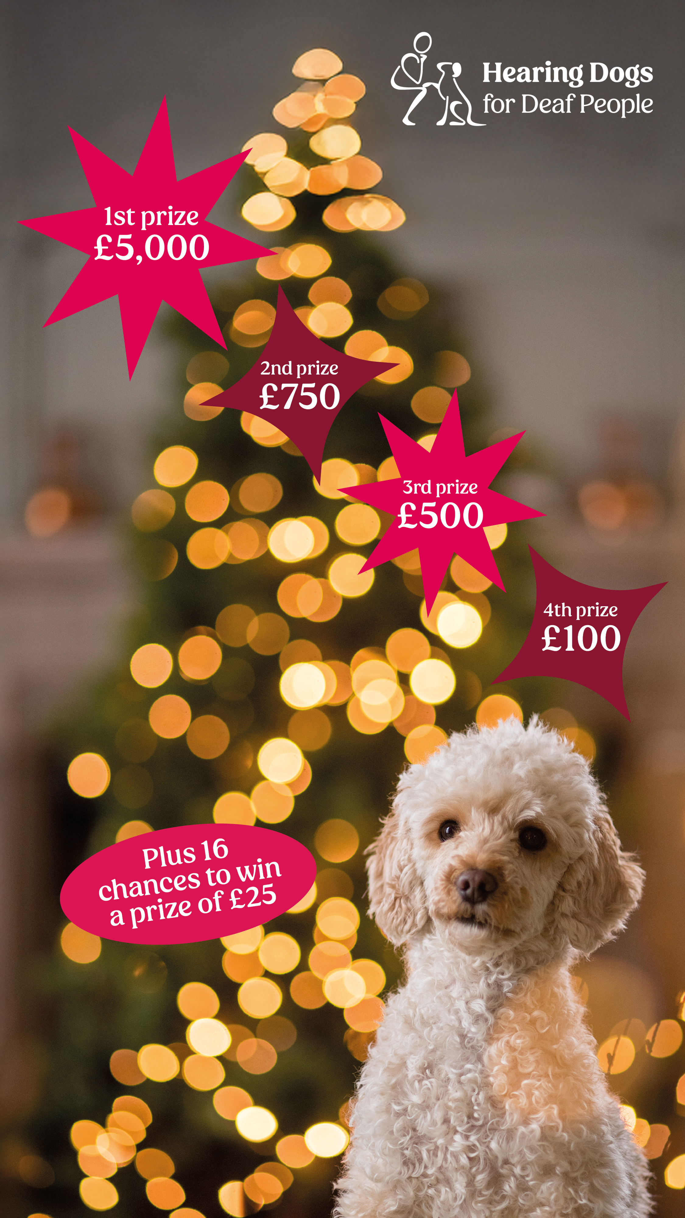  Hearing Dogs for Deaf People 