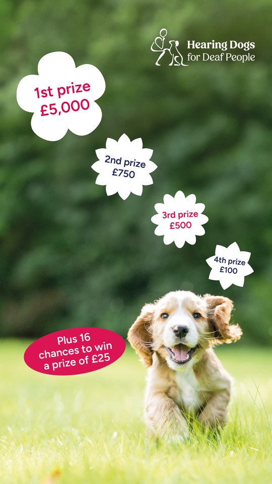  Hearing Dogs for Deaf People 