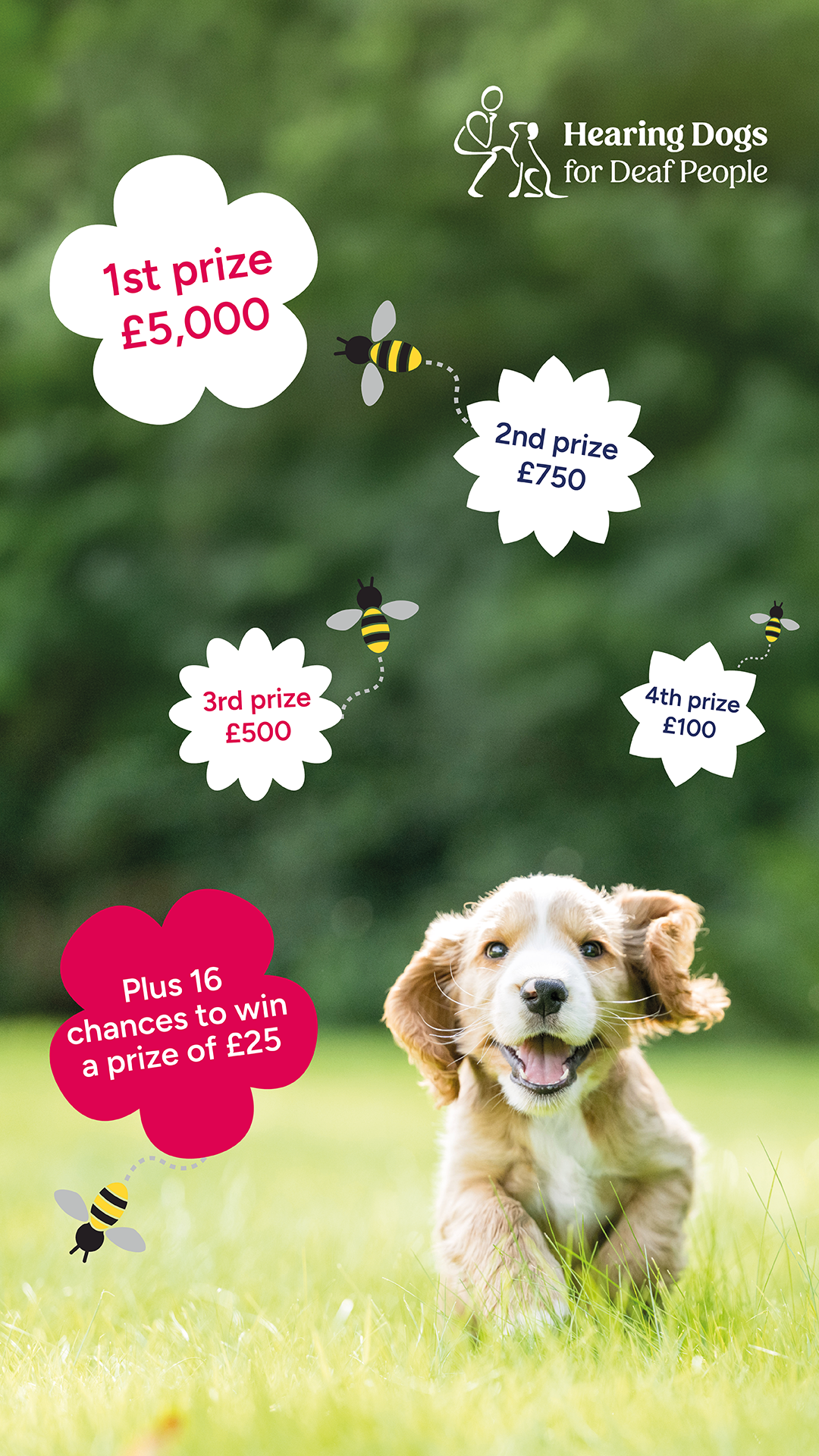  Hearing Dogs for Deaf People 