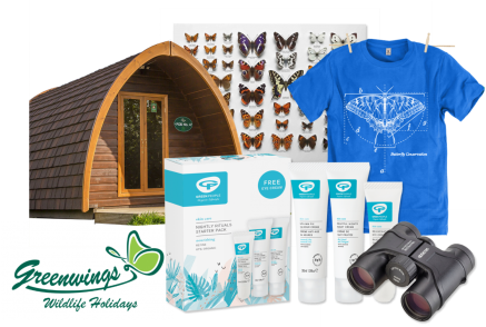 Butterfly Conservation