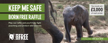 Born Free Foundation