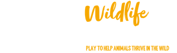 Born Free Wildlife Weekly Lottery