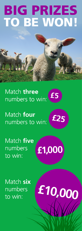 Lamb in a grassy field looking ahead with other lambs and sheep in the background. Big prizes to be won! Match three numbers to win £5. Match four numbers to win £25. Match five numbers to win £1,000. Match six numbers to win £10,000.